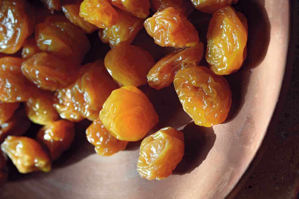 آلو بخارا شمس مناسب خورشت و دسرهای خانگی